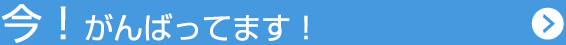 今！がんばってます！
